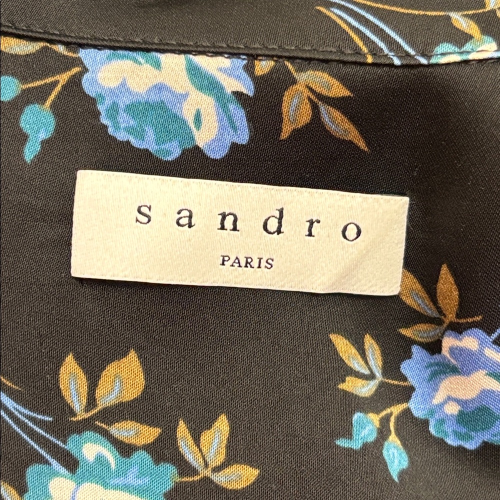 Sandro Black Long-Sleeves Floral Shirt Dress with Blue Rose Print Size 4 - Picture 14 of 16